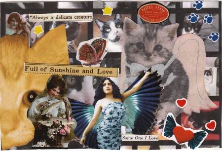 Full of Sunshine & Love Cat Postcard
